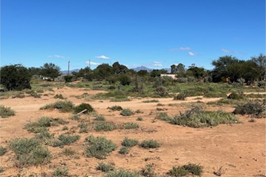 0 Bedroom Property for Sale in Steytlerville Eastern Cape